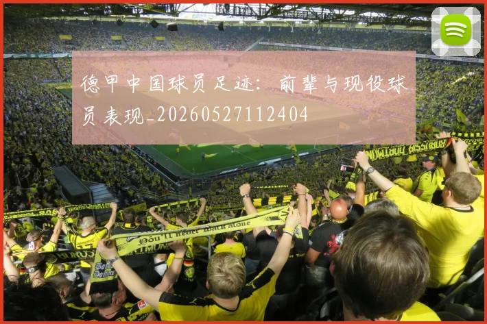 德甲中国球员足迹:前辈与现役球员表现_20260527112404