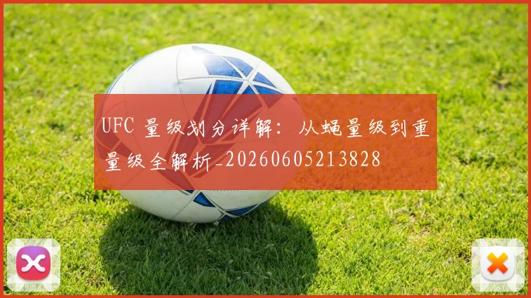 UFC 量级划分详解:从蝇量级到重量级全解析_20260605213828