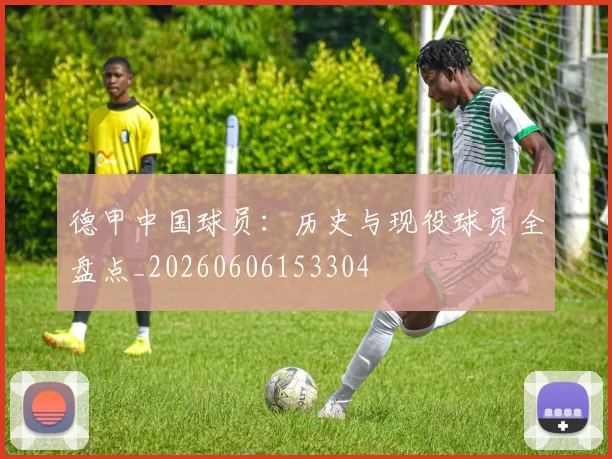 德甲中国球员:历史与现役球员全盘点_20260606153304